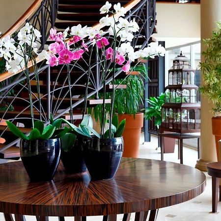 Cinar Hotel Istanbul Eksteriør billede