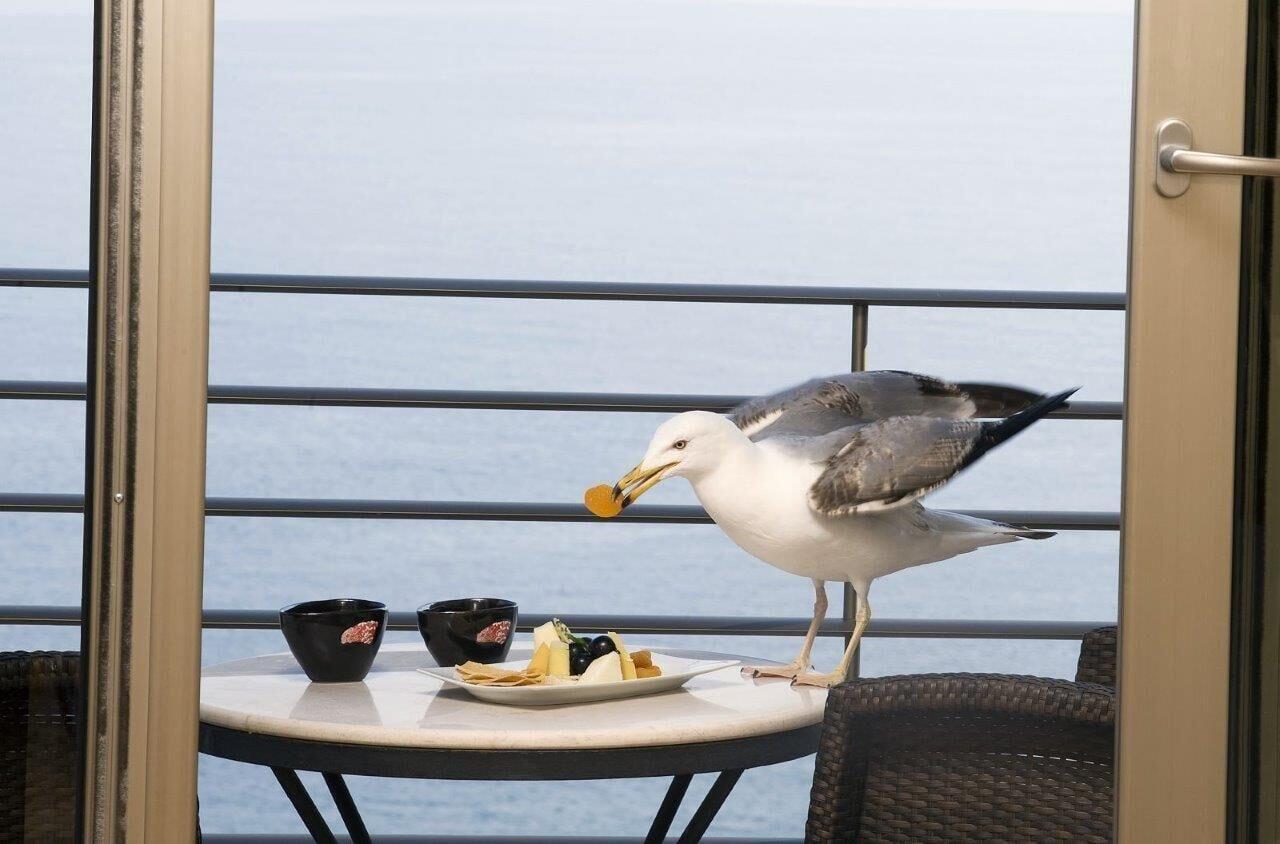 Cinar Hotel Istanbul Eksteriør billede