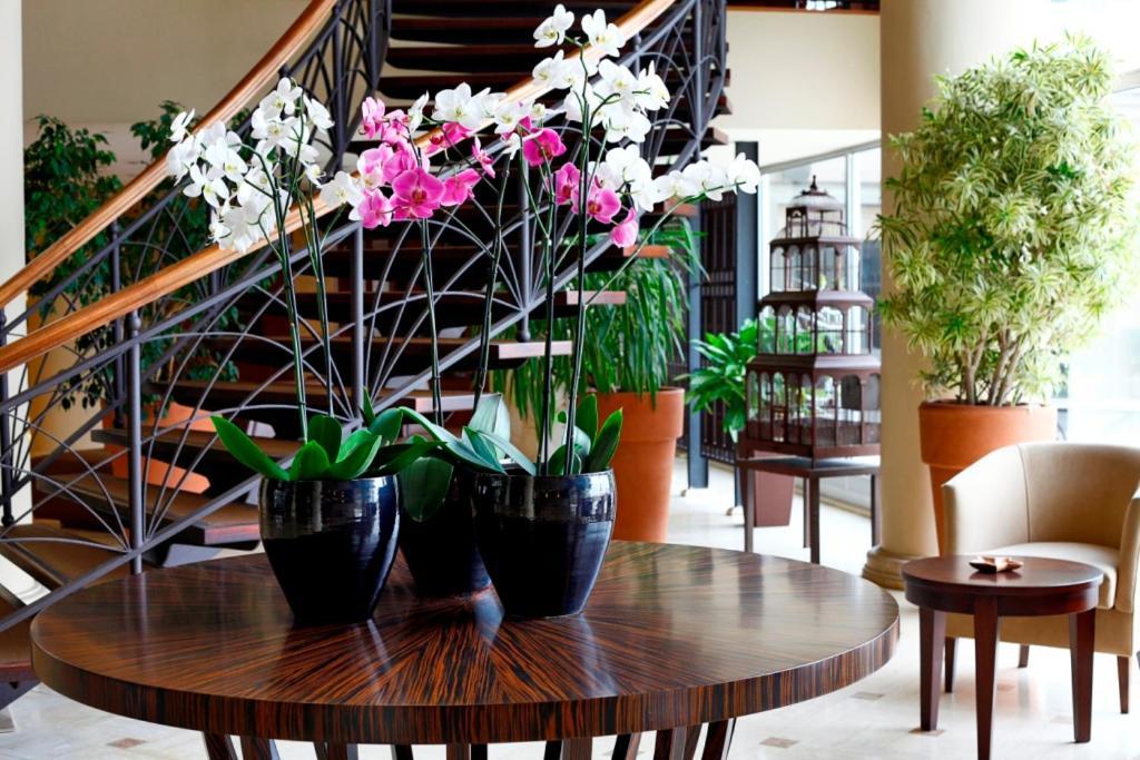 Cinar Hotel Istanbul Eksteriør billede